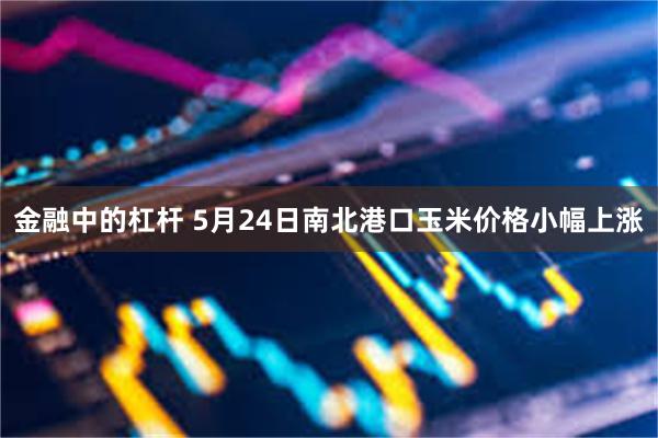 金融中的杠杆 5月24日南北港口玉米价格小幅上涨