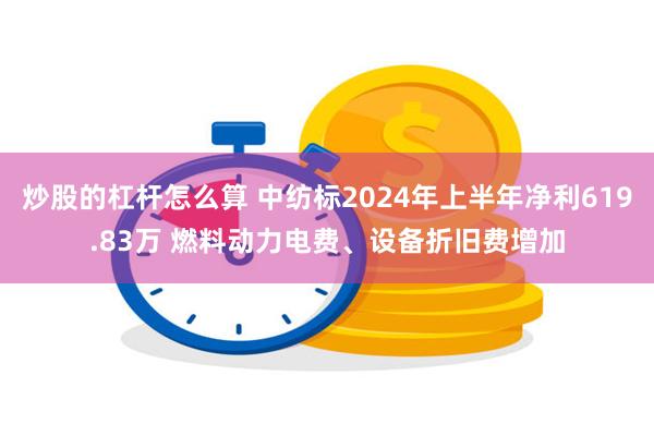 炒股的杠杆怎么算 中纺标2024年上半年净利619.83万 燃料动力电费、设备折旧费增加