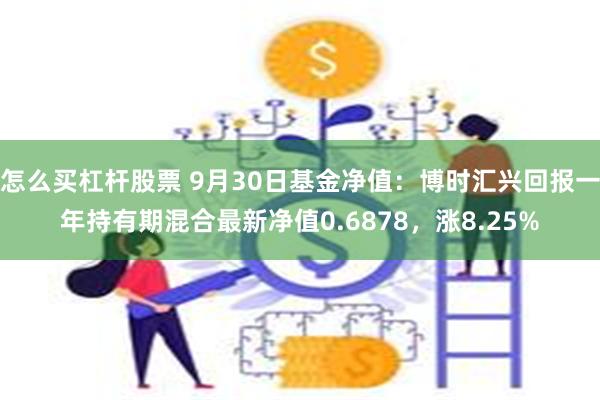 怎么买杠杆股票 9月30日基金净值：博时汇兴回报一年持有期混合最新净值0.6878，涨8.25%