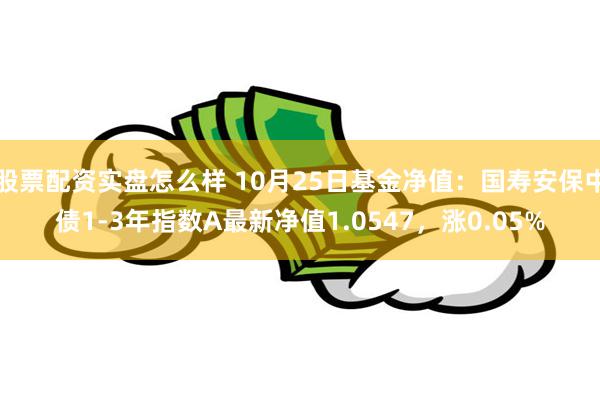 股票配资实盘怎么样 10月25日基金净值：国寿安保中债1-3年指数A最新净值1.0547，涨0.05%