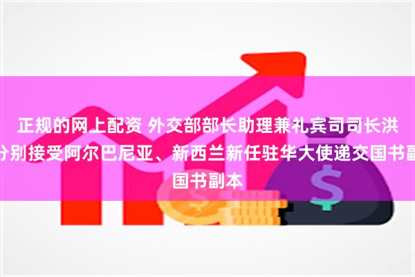 正规的网上配资 外交部部长助理兼礼宾司司长洪磊分别接受阿尔巴尼亚、新西兰新任驻华大使递交国书副本